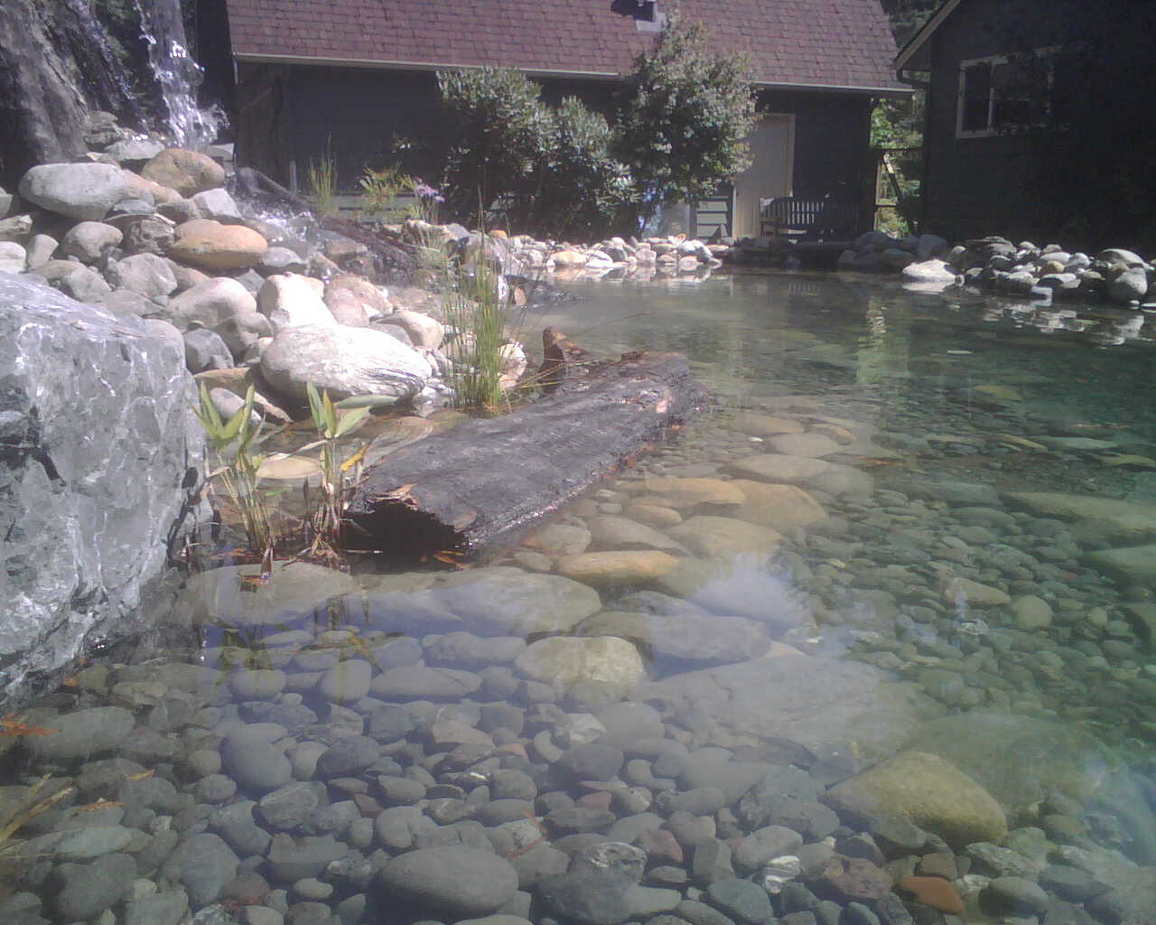 Large clear garden pond with submerged river stone, planted shoreline, natural boulders and a waterfall.