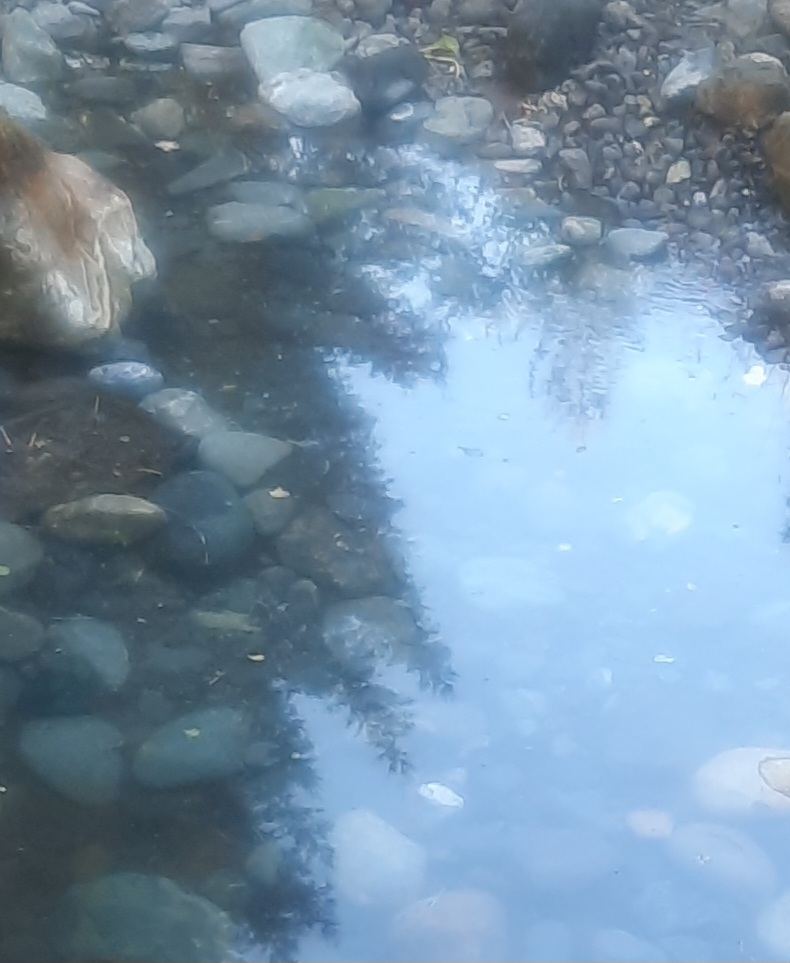 The same Fieldbrook pond after cleanout showing open water and visible stone along the bottom and edges