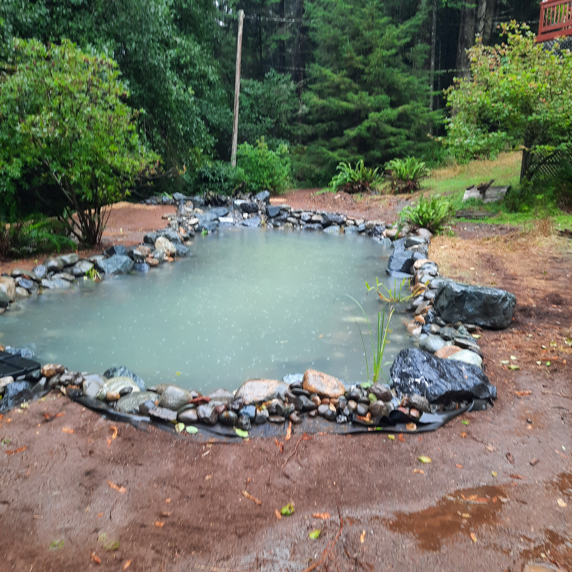 Finished rebuilt pond with deeper water, rebuilt stone edges, and creek return