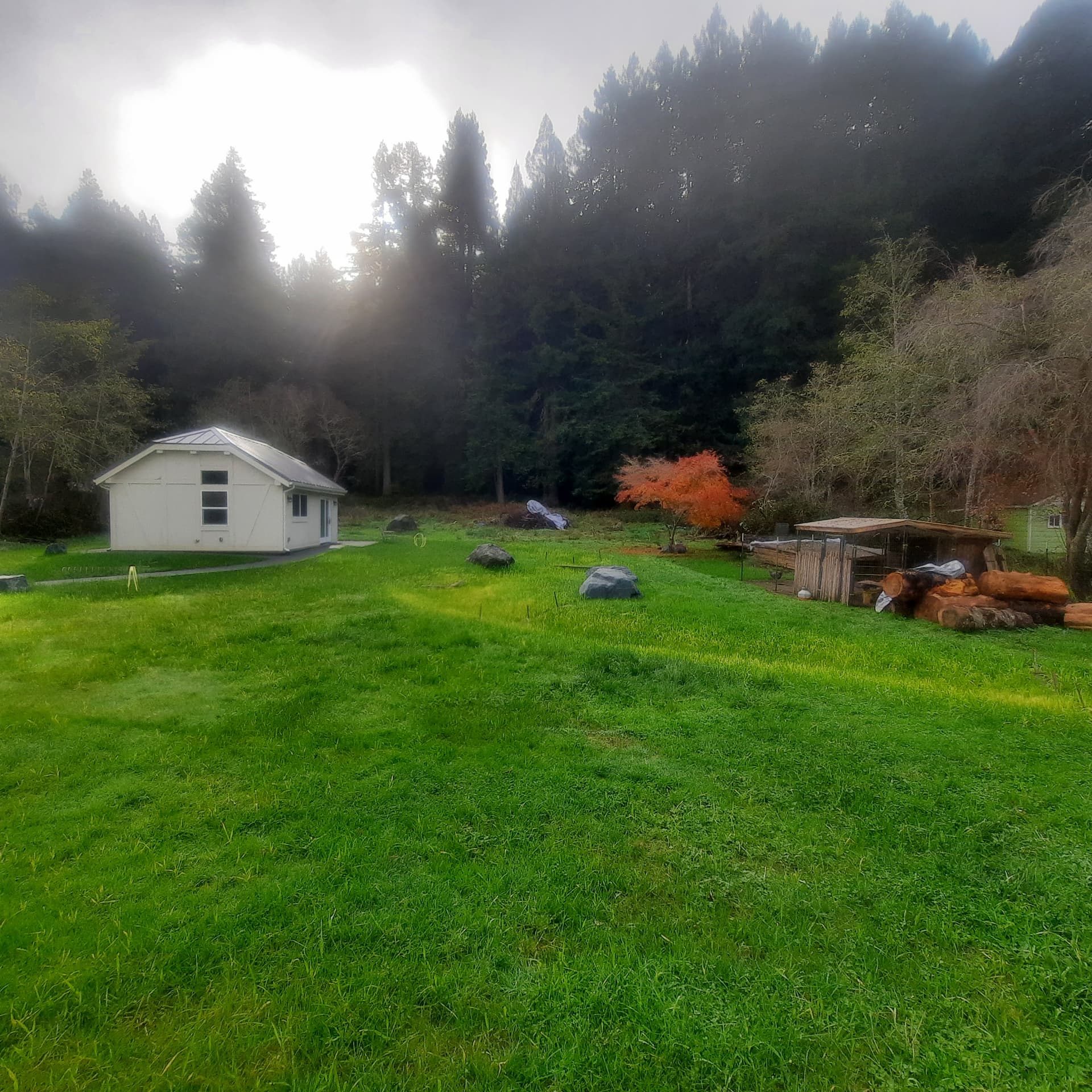 Finished open lawn with placed boulders, a small outbuilding, and a shaped grade leading toward the forest edge