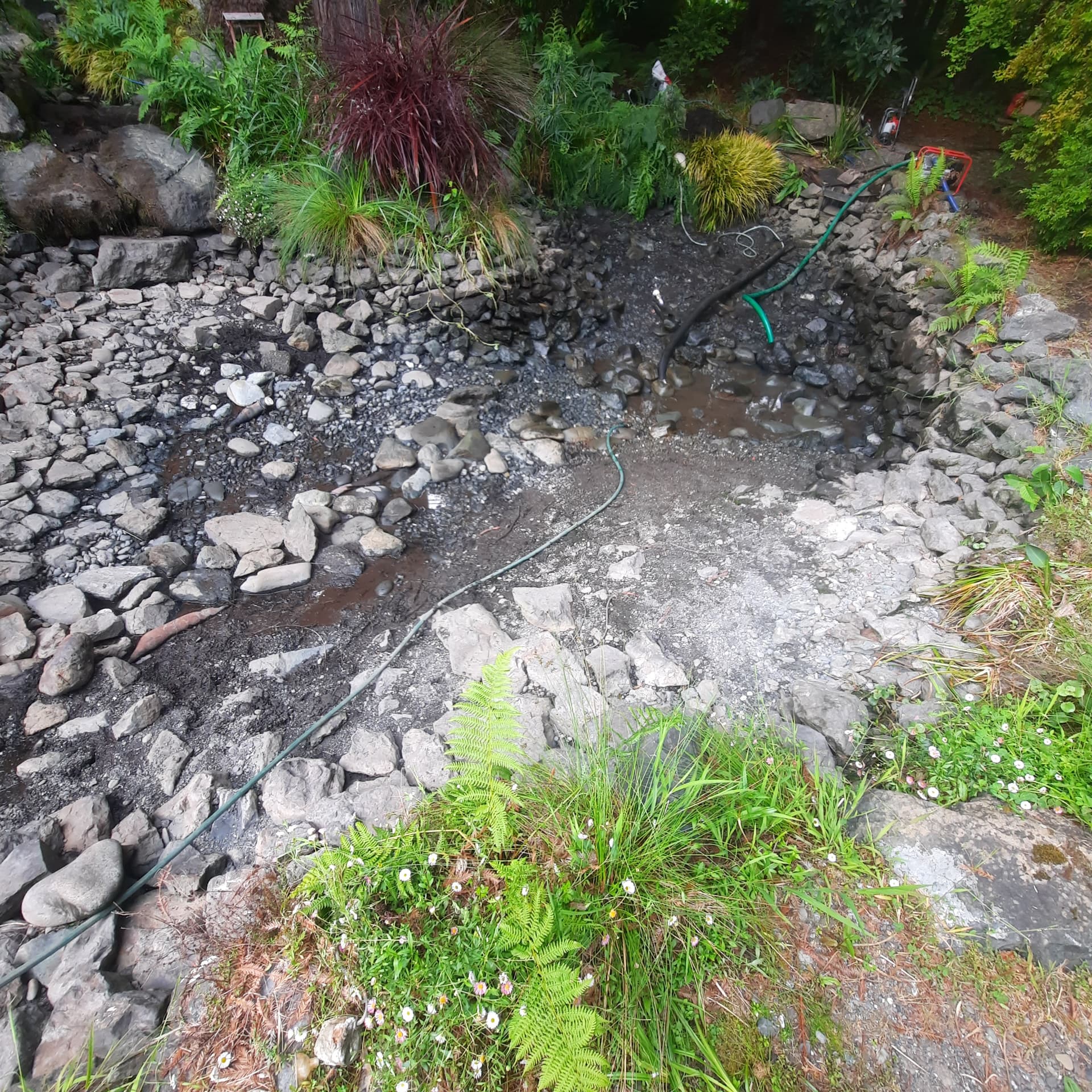 Pond drained down to the exposed rock basin during renovation, with hoses and a pump on site