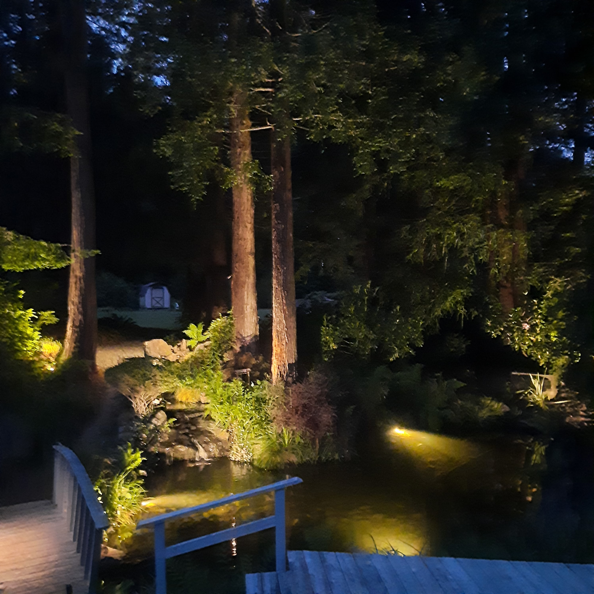 Nighttime pond setting with existing deck railings, illuminated tree trunks, and underwater lights.