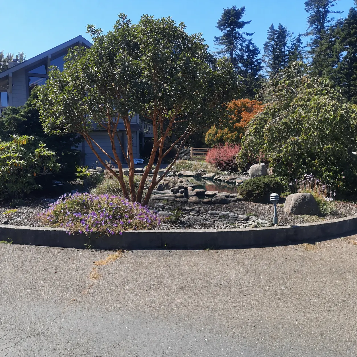 AI-assisted planting concept showing a broad-canopied tree beside the pond, partly screening the house.