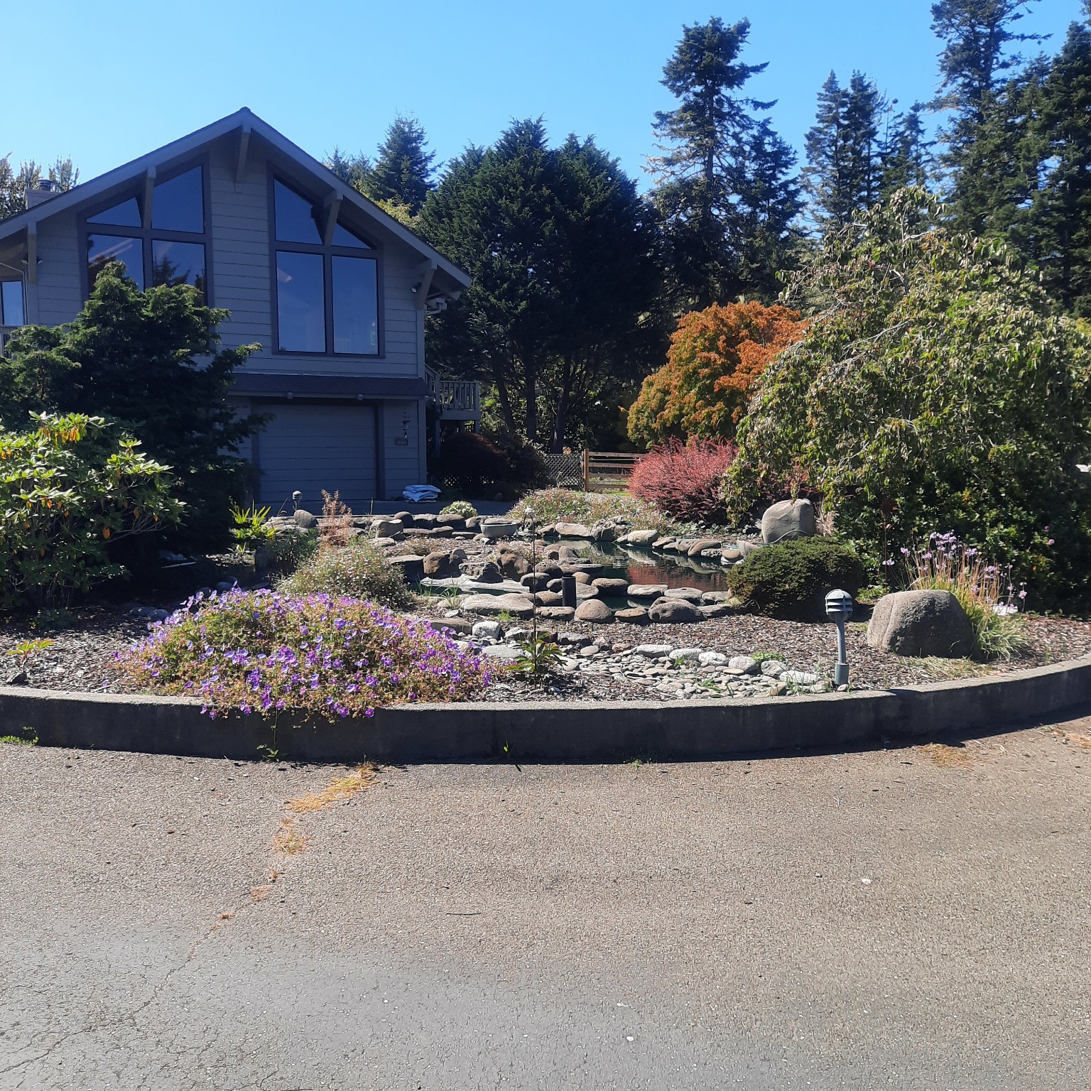 House and garden pond with an open foreground planting area.