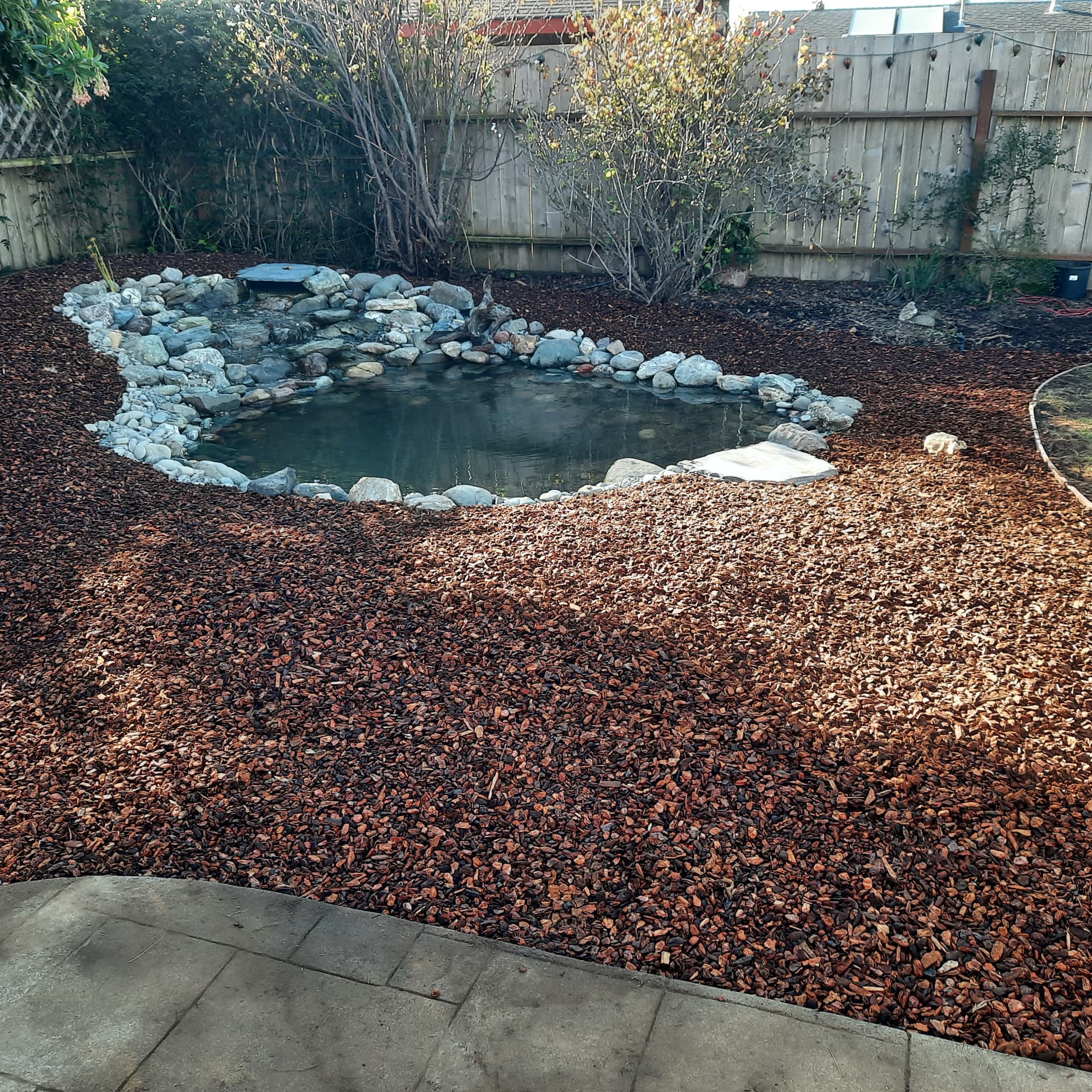 Newly built small backyard pond with boulder edging and fresh bark mulch
