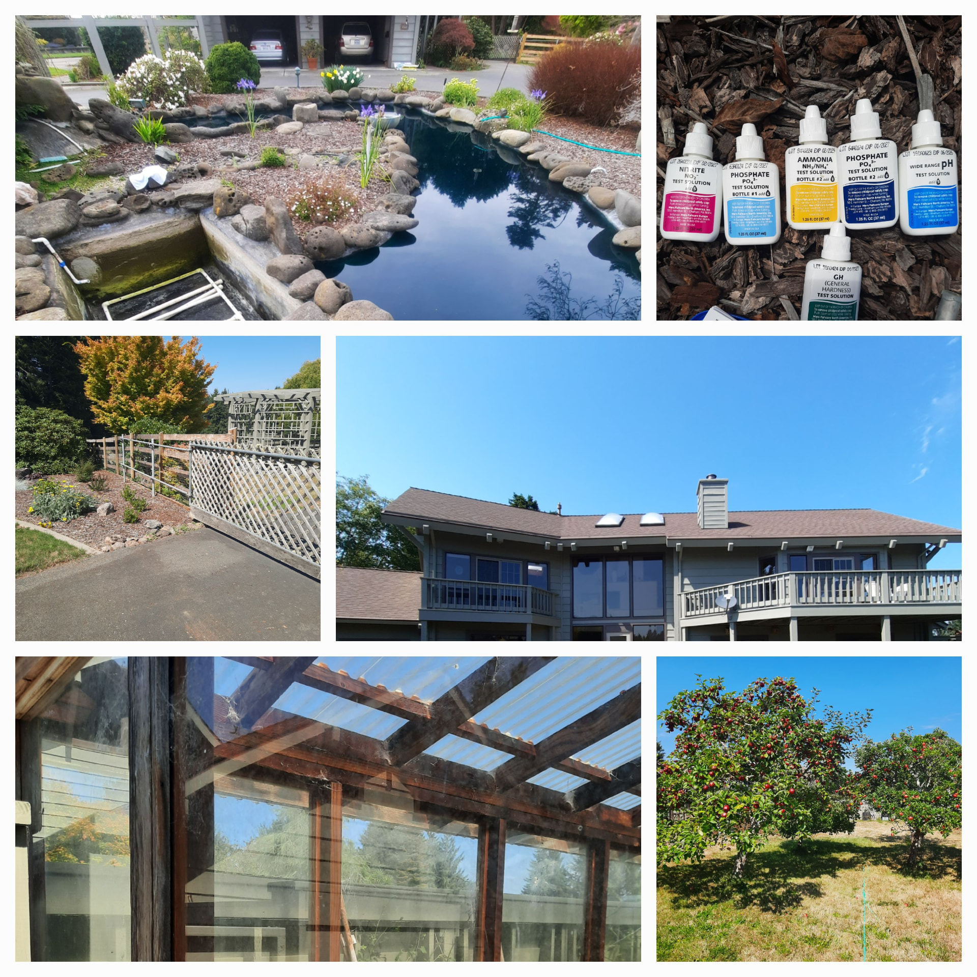 Collage of an existing garden pond, water-test supplies, a garden fence, greenhouse glazing, and fruit trees.