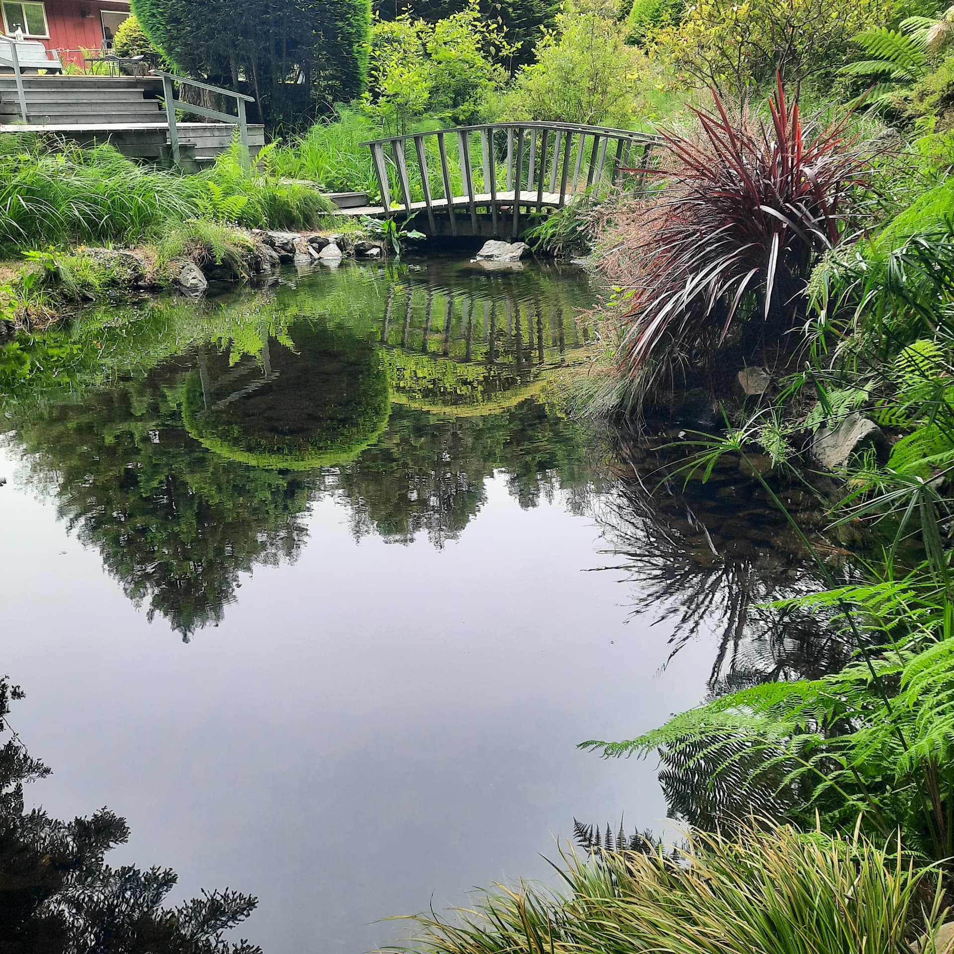 Alternate view of the finished pond with an arched wooden footbridge and surrounding garden