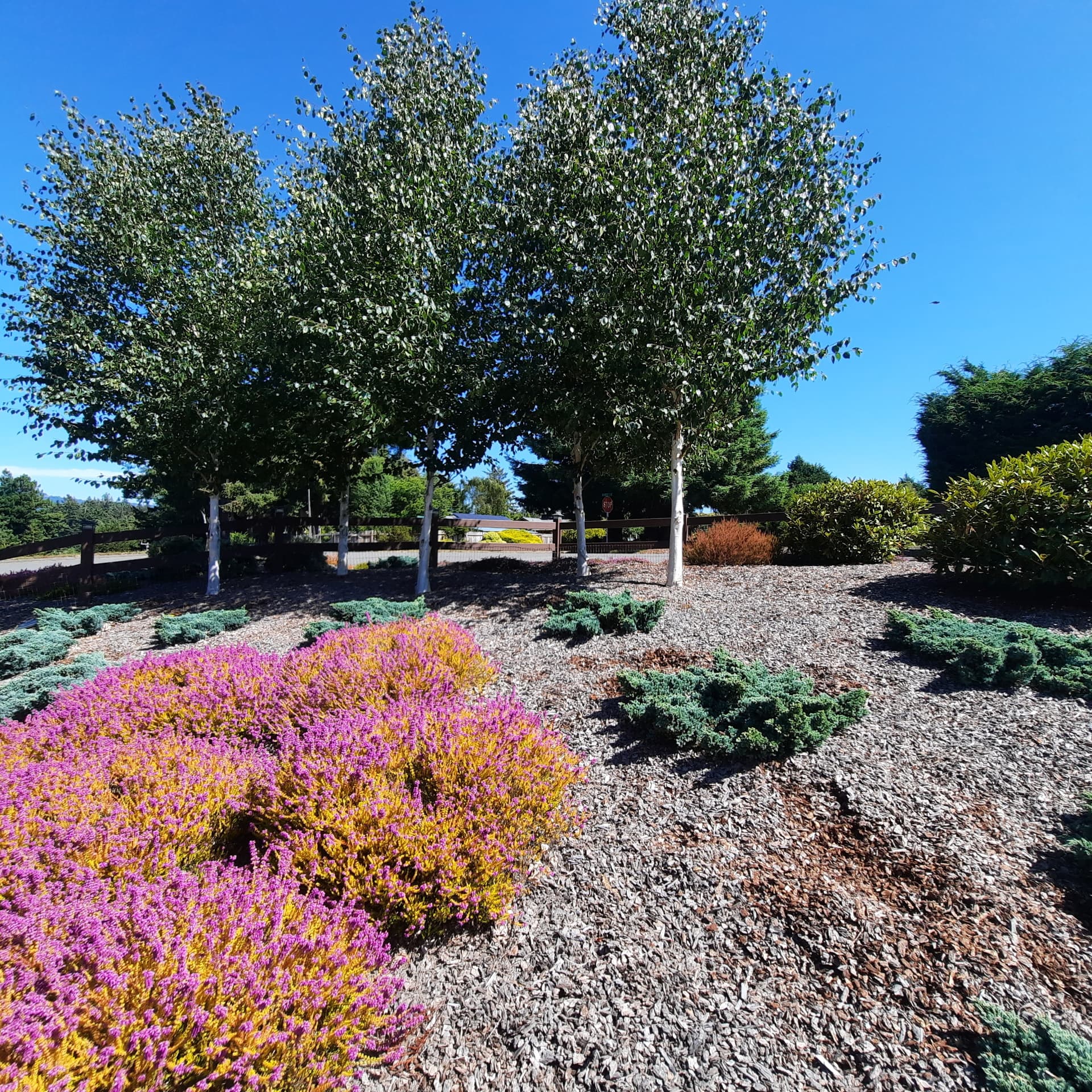 The same Norton hillside years later, with mature layered planting and established structure