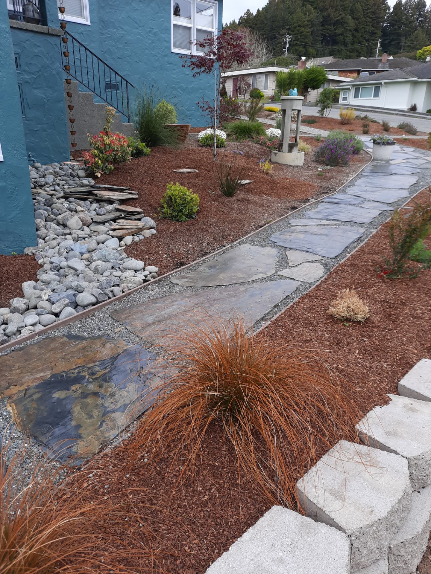Small water feature beside a flagstone path winding through mulched planting beds