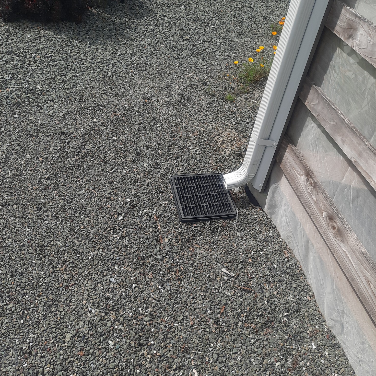 Square black catch-basin grate set in gravel beside a building, with a downspout elbow discharging into it