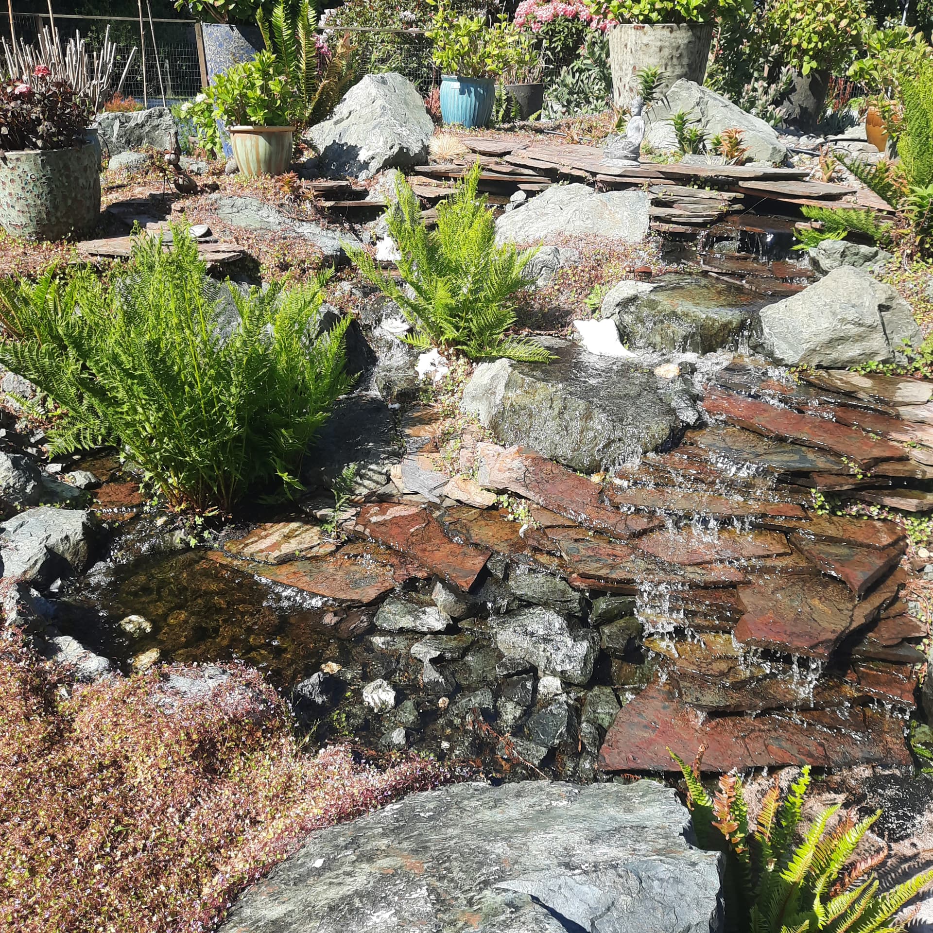 Pondless waterfall of stacked slate ledges with ferns, built into a planted slope