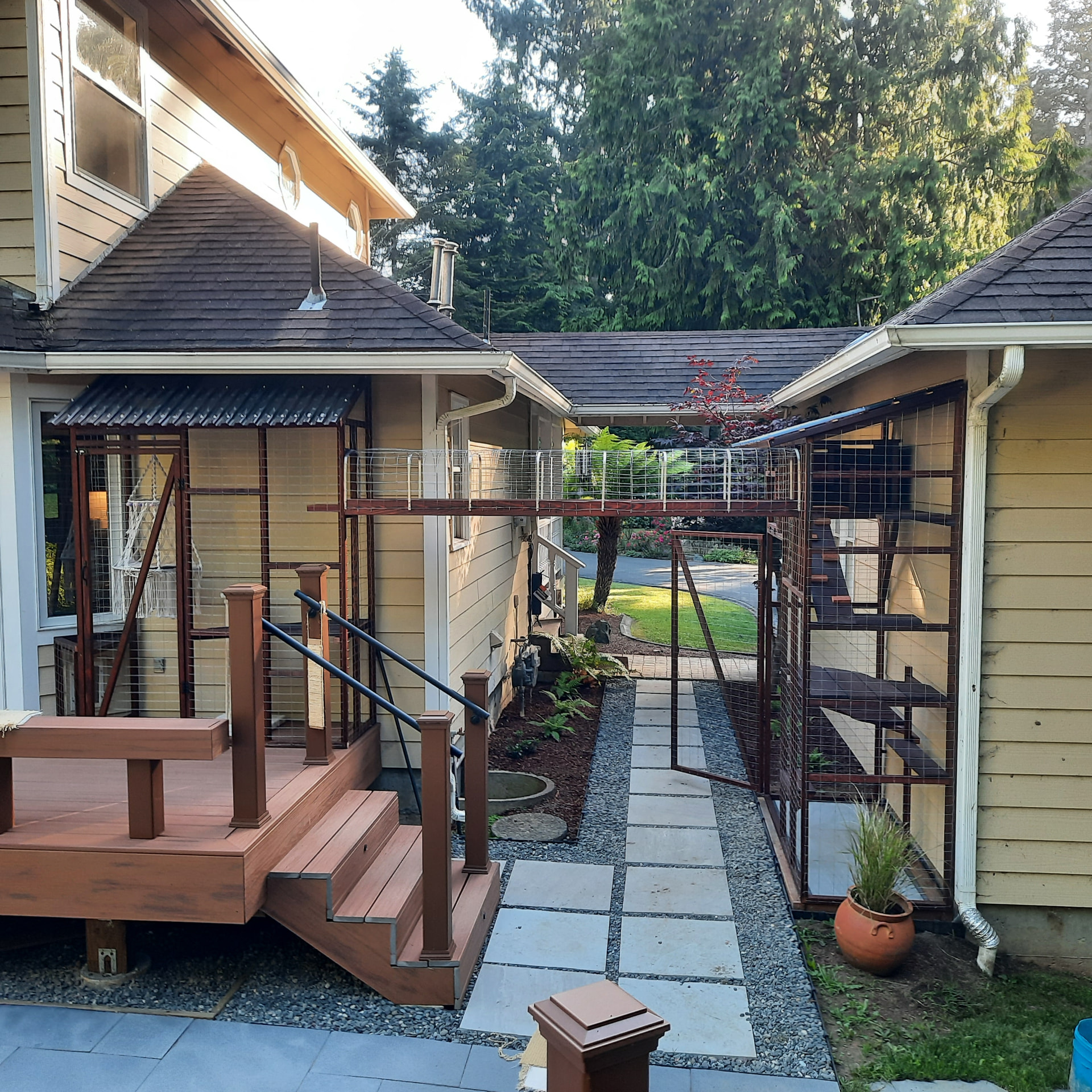 Custom catio with elevated catwalk connecting enclosures alongside the deck and house