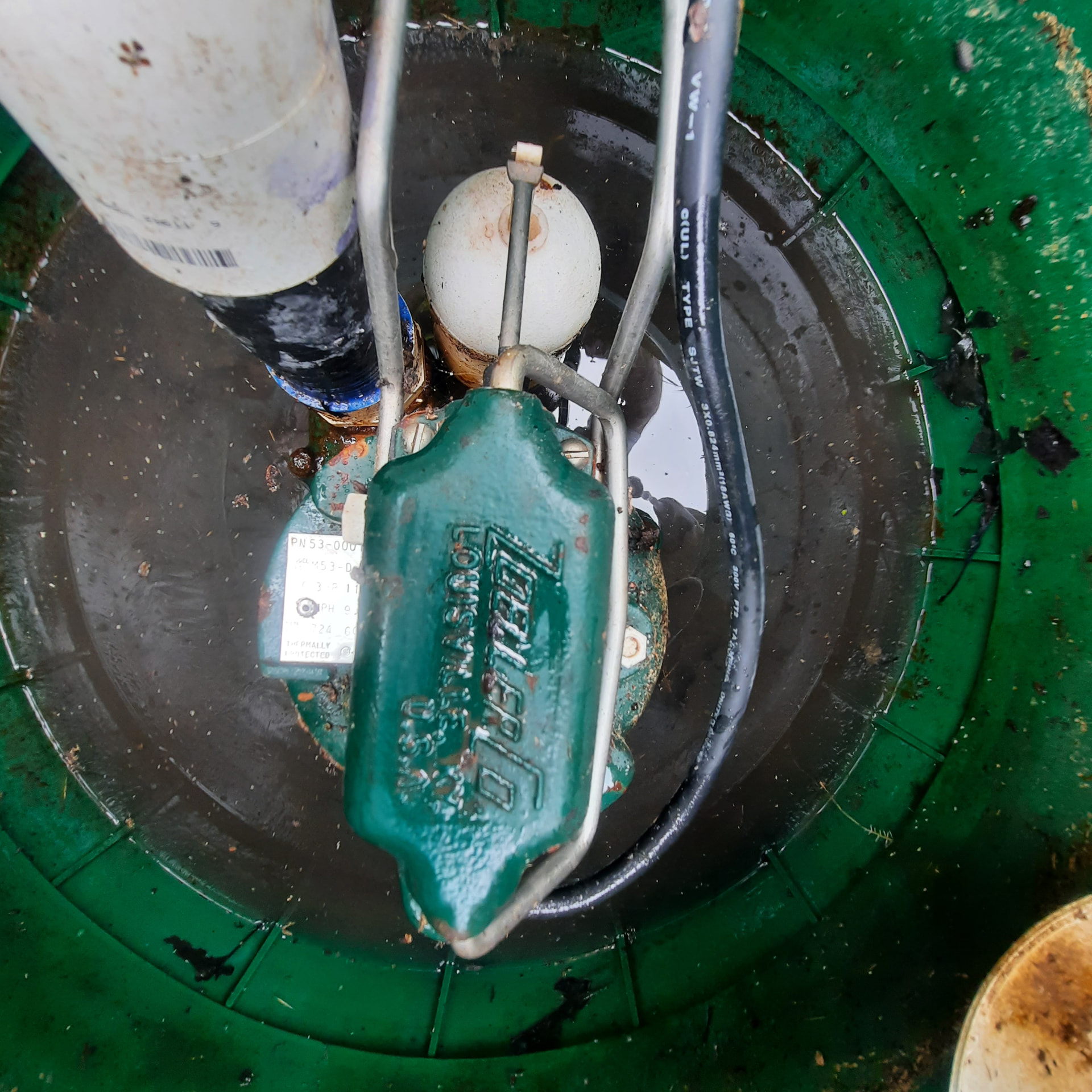 Sump pump with float switch and lines inside a green drainage chamber.